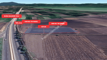 Bursa Karacabey Gölkıyı 9500 M2 Satılık Arazi 2