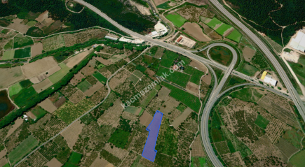 Bursa Kestel Dudaklı 10.560M2 Satılık Şeftali Bahçesi 5