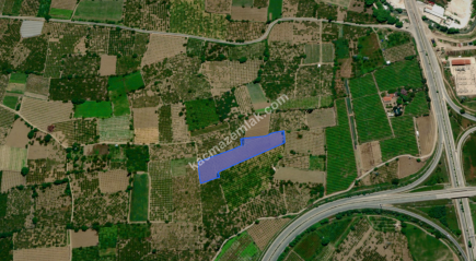 Bursa Kestel Dudaklı 10.560M2 Satılık Şeftali Bahçesi 6