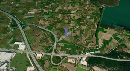 Bursa Kestel Dudaklı 10.560M2 Satılık Şeftali Bahçesi 1