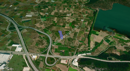 Bursa Kestel Dudaklı 10.560M2 Satılık Şeftali Bahçesi 4