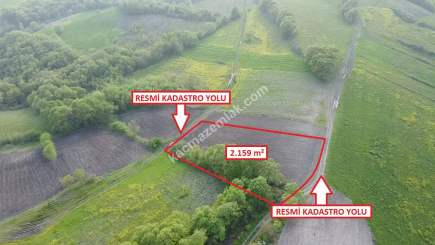 Bursa Mustafakemalpaşa Sünlük' De 2159 M2 Satılık Tarl 3