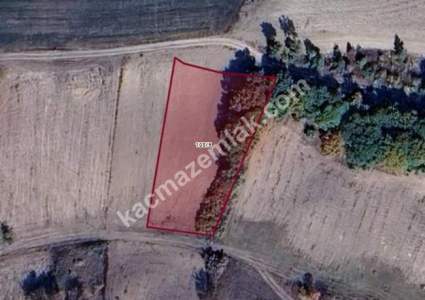 Bursa Mustafakemalpaşa Sünlük' De 2159 M2 Satılık Tarl 5