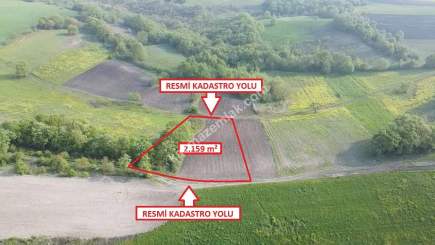 Bursa Mustafakemalpaşa Sünlük' De 2159 M2 Satılık Tarl 13