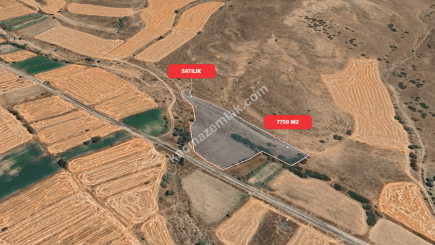 Eskişehir Mihalıççık Diközü 7750 M2 Satılılık Tarla 4