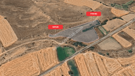 Eskişehir Mihalıççık Diközü 7750 M2 Satılılık Tarla 6