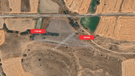 Eskişehir Mihalıççık Diközü 7750 M2 Satılılık Tarla 2