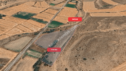 Eskişehir Mihalıççık Diközü 7750 M2 Satılılık Tarla 13