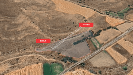 Eskişehir Mihalıççık Diközü 7750 M2 Satılılık Tarla 5