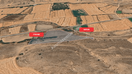 Eskişehir Mihalıççık Diközü 7750 M2 Satılılık Tarla 3