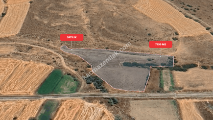 Eskişehir Mihalıççık Diközü 7750 M2 Satılılık Tarla 12