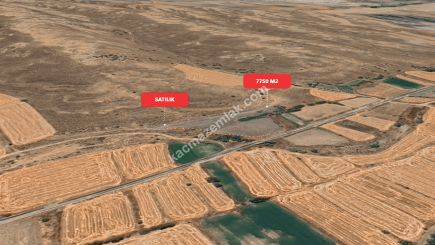 Eskişehir Mihalıççık Diközü 7750 M2 Satılılık Tarla 15