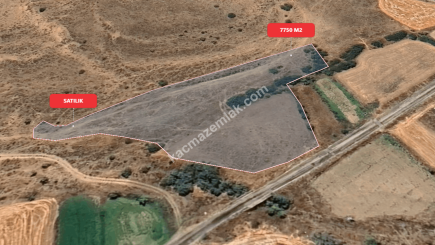 Eskişehir Mihalıççık Diközü 7750 M2 Satılılık Tarla 8