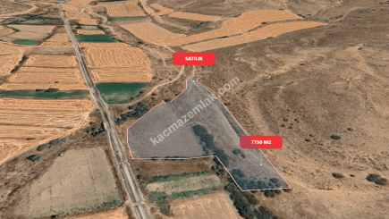 Eskişehir Mihalıççık Diközü 7750 M2 Satılılık Tarla 9