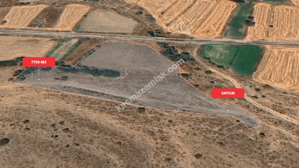 Eskişehir Mihalıççık Diközü 7750 M2 Satılılık Tarla 10