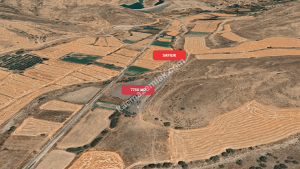 Eskişehir Mihalıççık Diközü 7750 M2 Satılılık Tarla 14