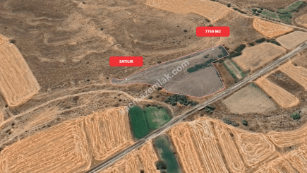 Eskişehir Mihalıççık Diközü 7750 M2 Satılılık Tarla 7