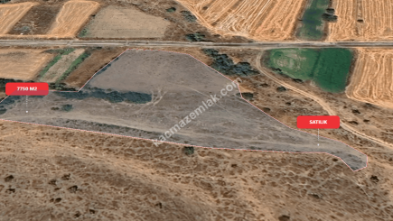 Eskişehir Mihalıççık Diközü 7750 M2 Satılılık Tarla 11