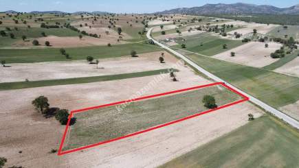 Antalya Sınırı 3.986 M2 Hobi Bahçesine Uygun Arazi 14