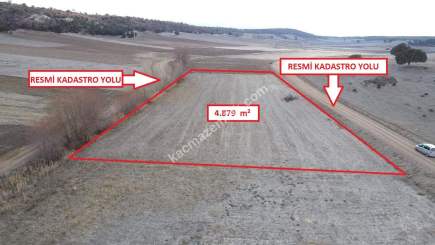 Kütahya Altıntaş Akçaköy' De 4878M2 Satılık Tarla 9