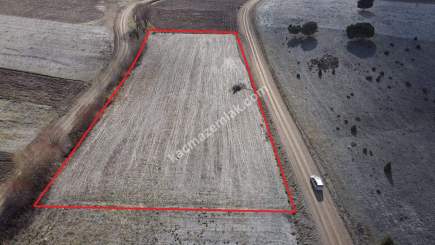 Kütahya Altıntaş Akçaköy' De 4878M2 Satılık Tarla 7