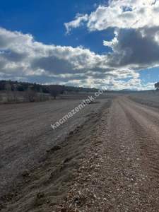 Kütahya Altıntaş Akçaköy' De 4878M2 Satılık Tarla 27