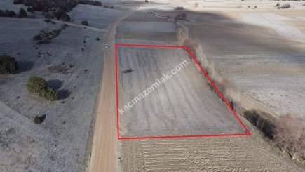 Kütahya Altıntaş Akçaköy' De 4878M2 Satılık Tarla 16