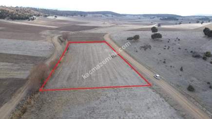 Kütahya Altıntaş Akçaköy' De 4878M2 Satılık Tarla 17