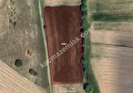 Kütahya Altıntaş Akçaköy' De 4878M2 Satılık Tarla 6