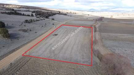 Kütahya Altıntaş Akçaköy' De 4878M2 Satılık Tarla 22