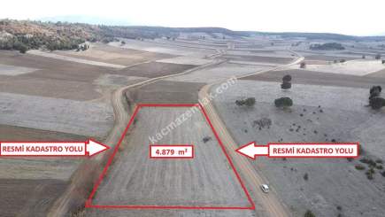 Kütahya Altıntaş Akçaköy' De 4878M2 Satılık Tarla 12