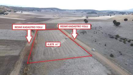 Kütahya Altıntaş Akçaköy' De 4878M2 Satılık Tarla 2