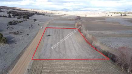 Kütahya Altıntaş Akçaköy' De 4878M2 Satılık Tarla 26