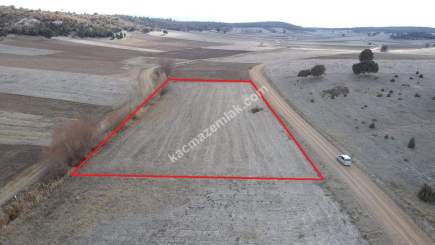 Kütahya Altıntaş Akçaköy' De 4878M2 Satılık Tarla 23