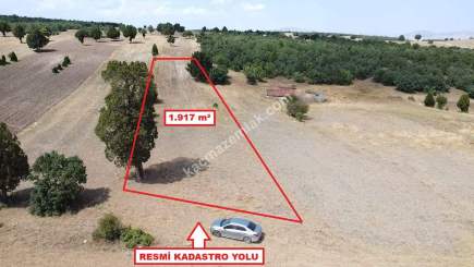 Kütahya Altıntaş Akçaköy 1917 M2 Satılık Arsa 12