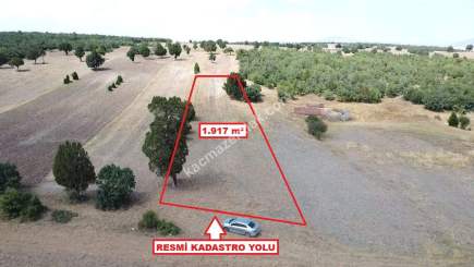 Kütahya Altıntaş Akçaköy 1917 M2 Satılık Arsa 4