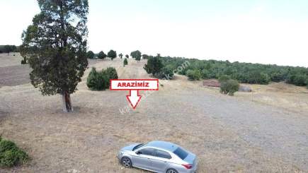 Kütahya Altıntaş Akçaköy 1917 M2 Satılık Arsa 3