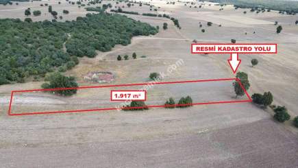 Kütahya Altıntaş Akçaköy 1917 M2 Satılık Arsa 20