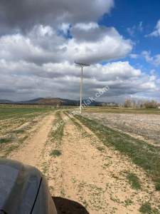 Kütahya Altıntaş Çayırbaşı 1719M2 Satılık Tarla 24