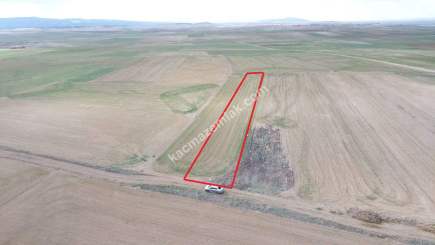 Kütahya Altıntaş Çayırbaşı 1719M2 Satılık Tarla 19