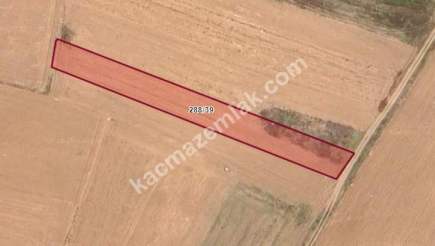 Kütahya Altıntaş Çayırbaşı 1719M2 Satılık Tarla 6