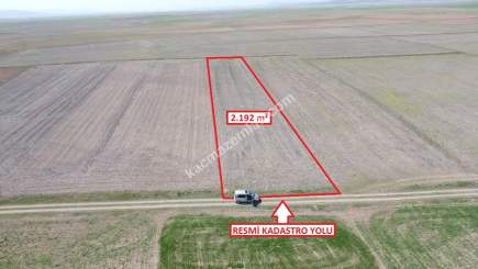 Kütahya Altıntaş Çayırbaşıköyü 2192 M2 Satılık Tarla 11