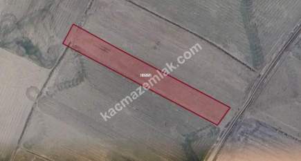 Kütahya Altıntaş Çayırbaşıköyü 2192 M2 Satılık Tarla 5