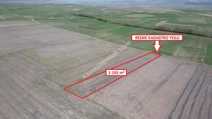 Kütahya Altıntaş Çayırbaşıköyü 2192 M2 Satılık Tarla 12