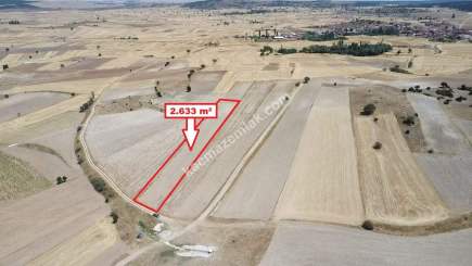 Kütahya Altıntaş Karaağaç Köyü 2633 M2 Satılık Tarla 28