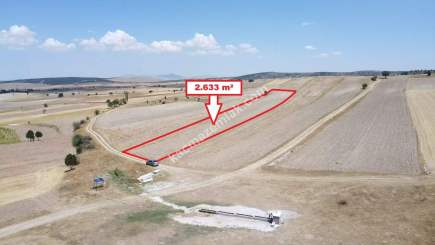 Kütahya Altıntaş Karaağaç Köyü 2633 M2 Satılık Tarla 26