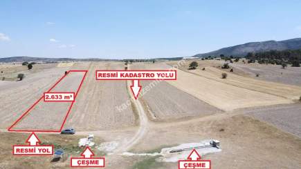 Kütahya Altıntaş Karaağaç Köyü 2633 M2 Satılık Tarla 4