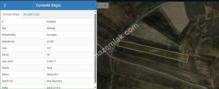 Kütahya Altıntaş Karaağaç Köyü 2633 M2 Satılık Tarla 15