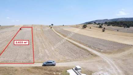 Kütahya Altıntaş Karaağaç Köyü 2633 M2 Satılık Tarla 16