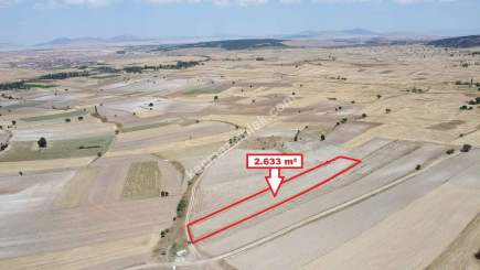 Kütahya Altıntaş Karaağaç Köyü 2633 M2 Satılık Tarla 27